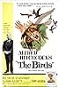 The Birds